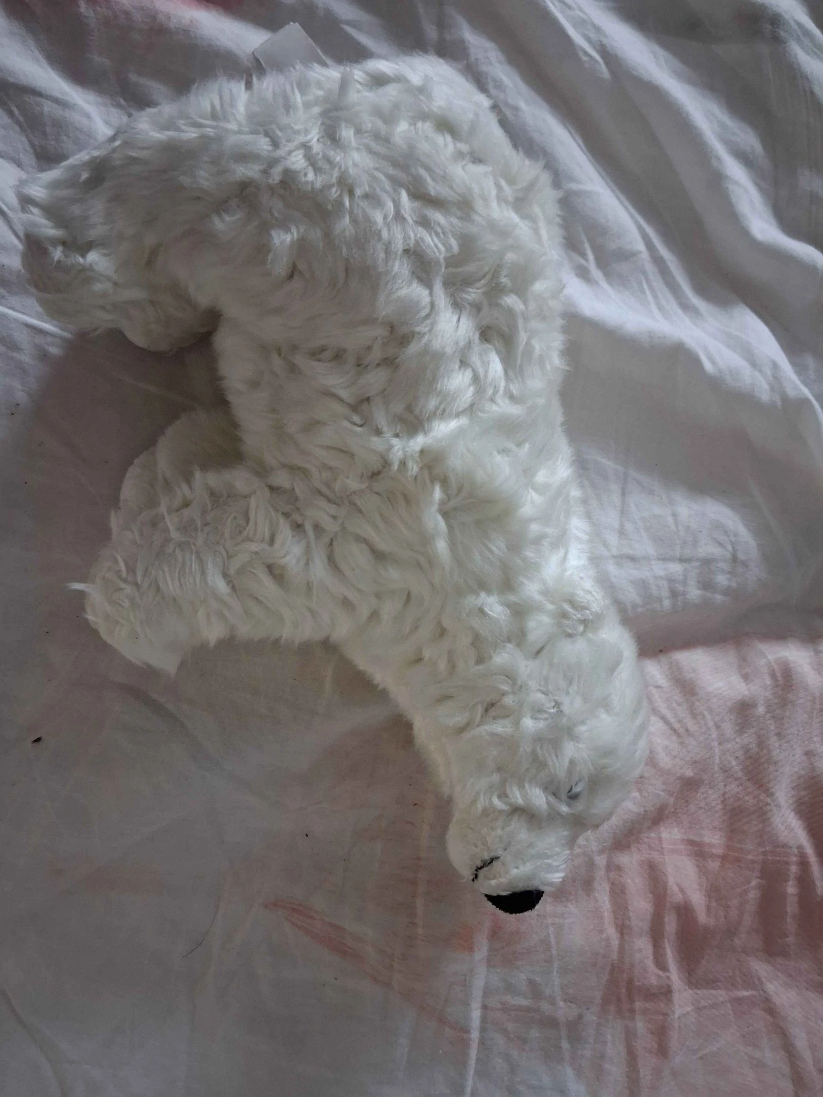 Peluche ours polaire